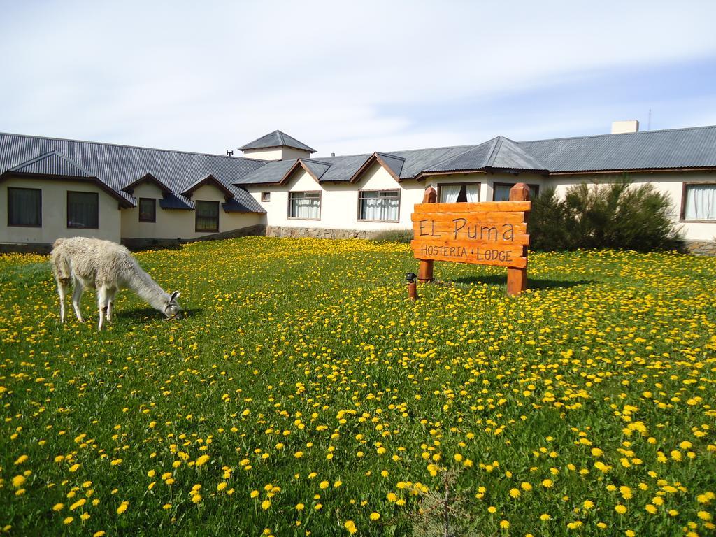 Hosteria El Puma El Chaltén Zewnętrze zdjęcie